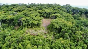 Photo-19-5-24-2-12-11 PM